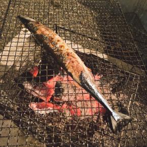 ももキャン△〜秋の味覚・撤収編