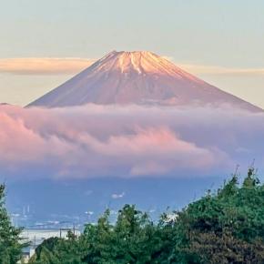 もも車中泊□旅〜伊豆半島一周編
