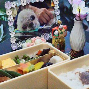 雪をかぶったウサギたち、じゆりはどうしてるかな・・