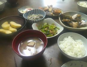 12/29のお昼ごはん