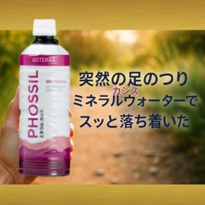 助けてくれたのはミネラルでした