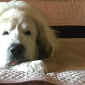 久方ぶりでございます