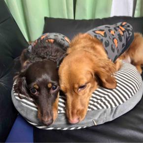 帰ってきました。