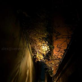 日本で流れないニュース?! スリ1人が1日で稼ぐ金額 @ヴェネツィア