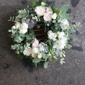 4月19日・今日の写真はスカビオサ♪