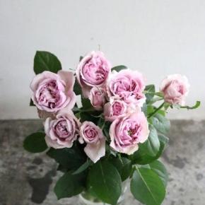 お花の入荷日に合わせてお届けする、フレッシュなお花のミニブーケ