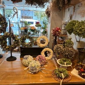 行ってきます！