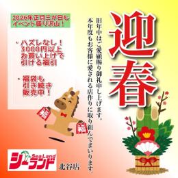 新年明けましておめでとうございます。