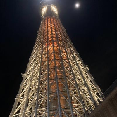 (￣(工)￣)スカイツリー☆