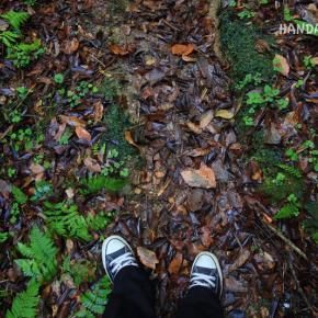 雨の日は行かないでください。仏谷の磨崖仏