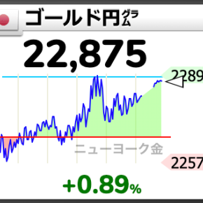 今年一番リターンが大きかったのは、実は金積立
