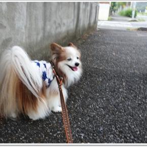 とにかくたくさん思い出を作ろう