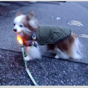 みんなで撮ろう！