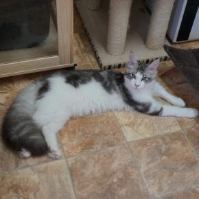 犯人はお前だ！！・・・・・大家族通信♪