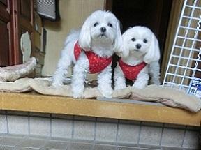 チャンス到来YA～♪