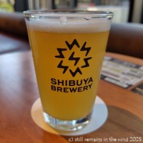 SHIBUYA BREWERY SHIBUYA Weizenと生牡蠣