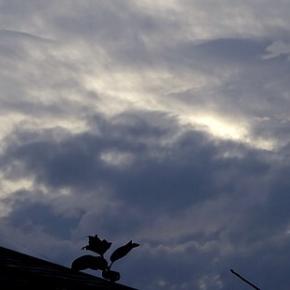 ドラゴンフェイス