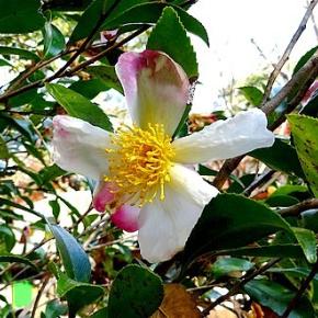 お風呂に入るだけでも