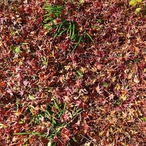 昨日3時間弱片付け・掃除しちゃったんだよね～