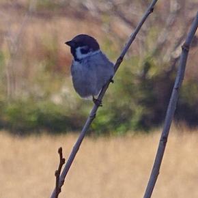 セルフのガスステーションで