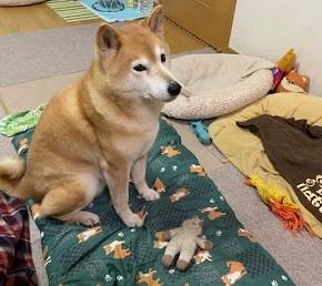 ちょっとずつ暖かくなってきた