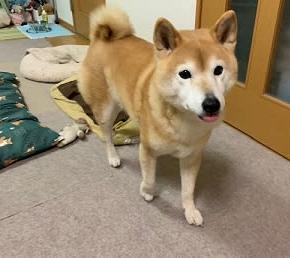 1日分の量は決まってます