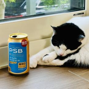 今日の徒然（20250621）