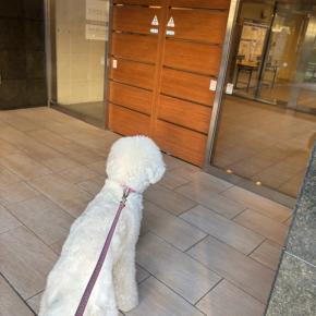 お邪魔します♡