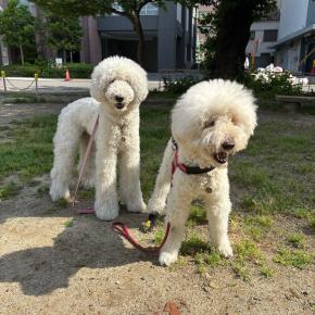 新年あけましておめでとうございます。