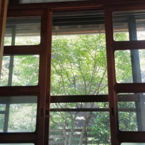 5月になり、春の花も終わりかな！