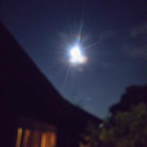 過ごし易くなりましたね・・・10月ですね！