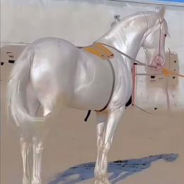 明けましておめでとうございます。