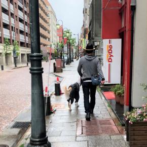 2019GW10連休その8