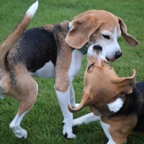 今日も絶望の隣は希望でした・・・その3