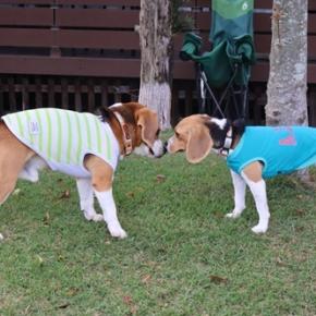 走るの楽し～♪ 一緒に走るの大変♪ 