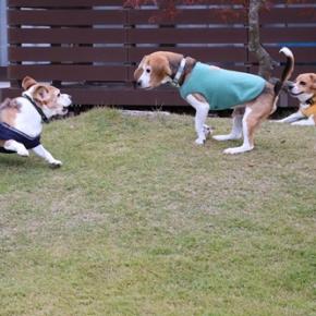 平日やけど男同士で楽しむ♪ その3