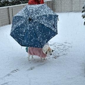 今朝のビックリ！