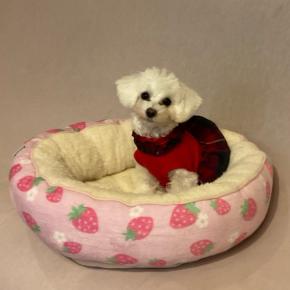 やっぱり やめられない 止まらない 