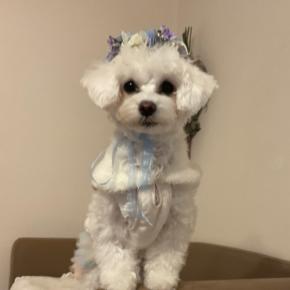 忘れとったぁ〜〜〜〜⤴︎⤴︎⤴︎満8ヶ月記念日や〜〜〜⤴︎⤴︎⤴︎