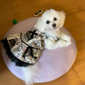 いつもの朝です