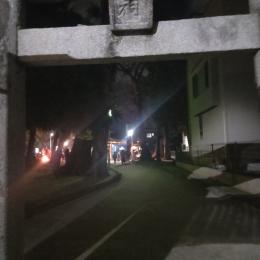 初詣 年明け夜の初散歩