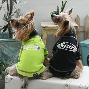 20％OFFセール【X-girl】ステッチロゴプルオーバー【送料無料】秋冬⛄