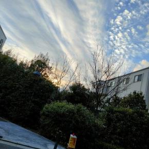 1年間 今年もありがとうございました