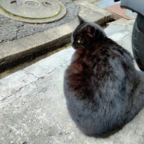 急に寒さが増してきましたね