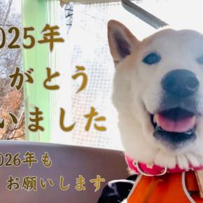 2025年ありがとうございました！さくらより