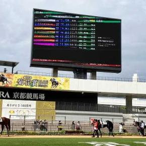 キングスコール(8)～京都 2勝C 菊花賞除外でこちらへ