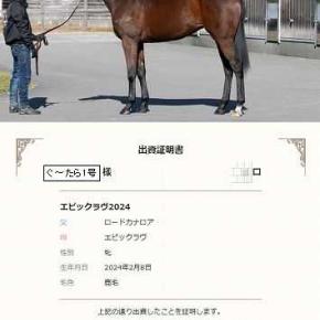 DMM エピックラヴ24出資♪