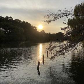 日本的な考えに疲弊したけど今のチームメイトは共感してくれた話