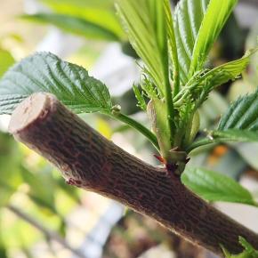 今日のメッセージ by LINE占い 天成（あめな）