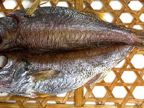 ムツの一夜干し